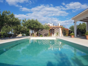 Stone Villa Olea - Holiday house in olive grove